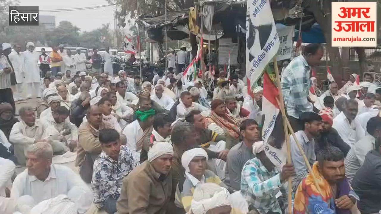 Farmers Stage Sit-in at Mini Secretariat in Hisar Demanding Insurance Claims; Issue 15-Day Ultimatum