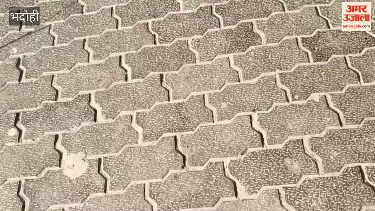 Tragic Accident in Bhadohi Youth Dies