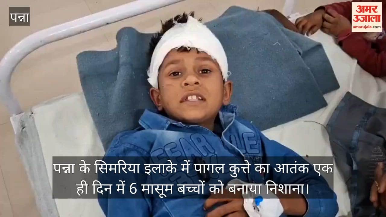Terror of a rabid dog in the Simariya area of Panna — around half a dozen children targeted in a single day