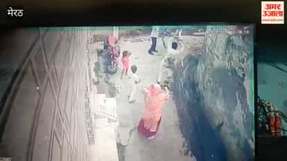 Meerut: One Faction Attacks Another Over Children's Dispute; Video Goes Viral on Social Media; Case Registered Against