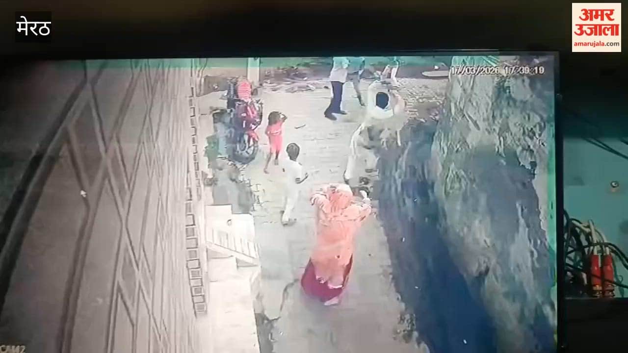 Meerut: One Faction Attacks Another Over Children's Dispute; Video Goes Viral on Social Media; Case Registered Against