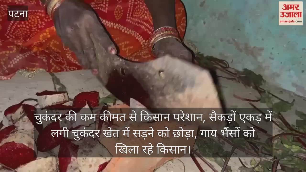 Farmers-upset-price-sugar-beets-leaving-hundreds-acres-sugar-beet-fields