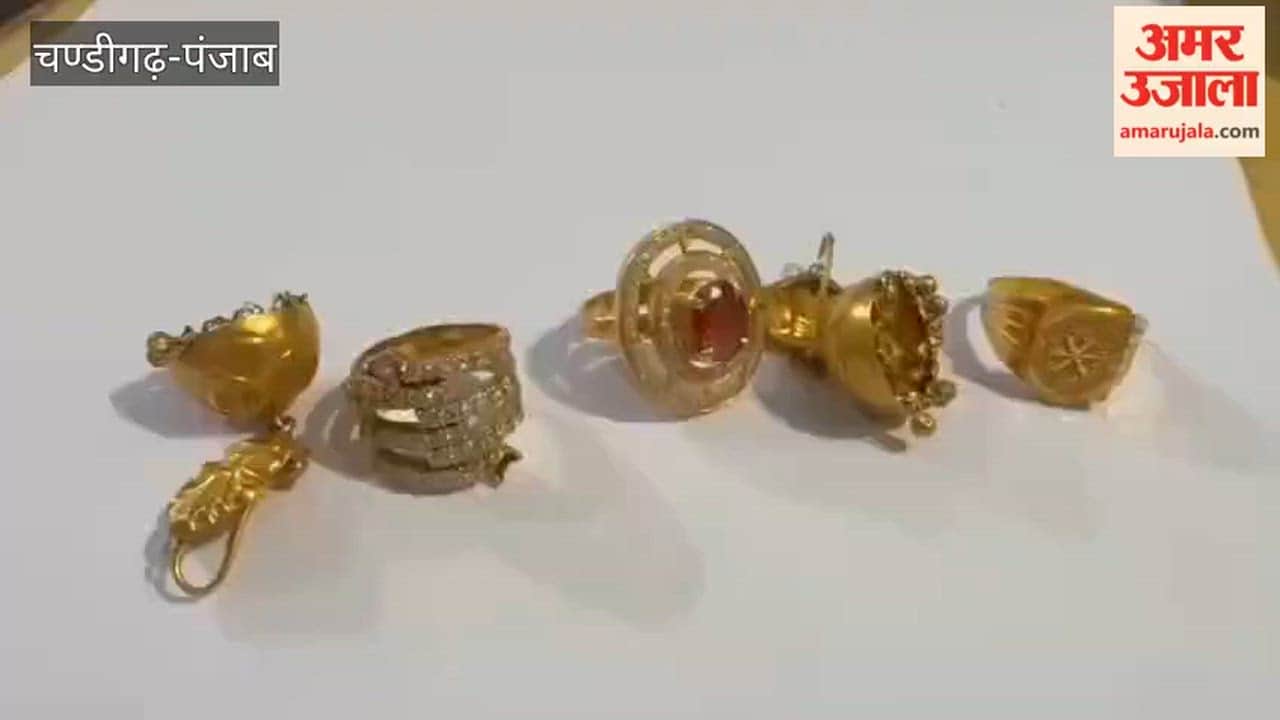 Ferozepur Cantonment Police Apprehend Thieves with Stolen Gold Jewelry