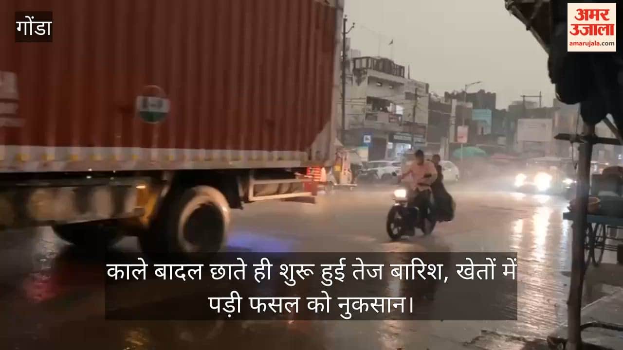 VIDEO: अचानक बारिश से दिन में छाया अंधेरा, भीगी सरसों की फसल से किसान परेशान