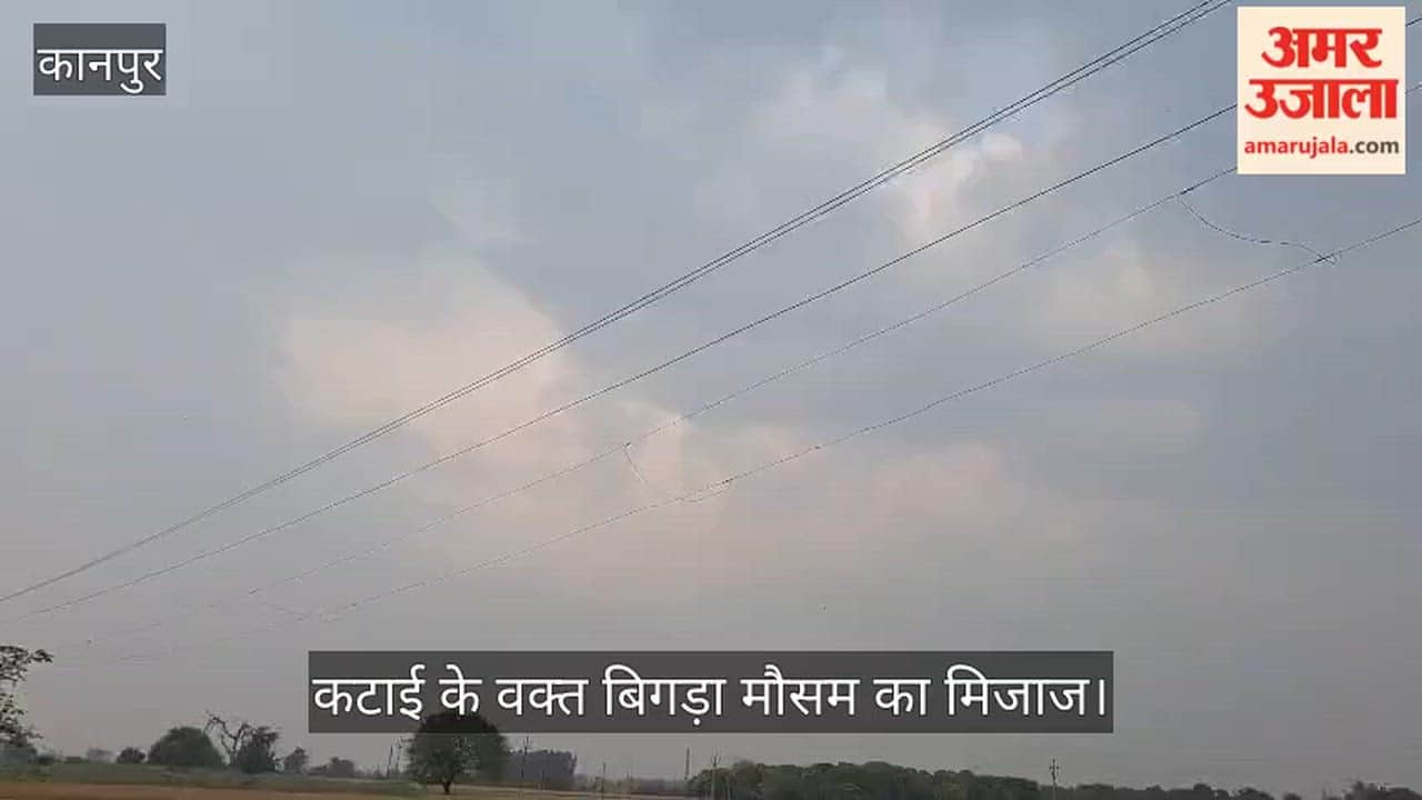 कानपुर: भीतरगांव में उमड़े काले बादल, बूंदाबांदी से किसान बेचैन, पकी गेहूं और कटी सरसों पर गहराया संकट