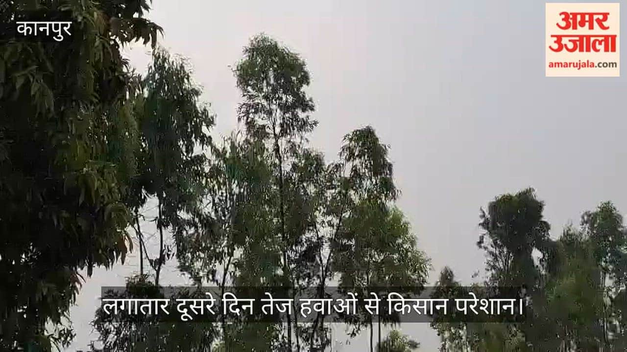 भीतरगांव वेदर अलर्ट: भीतरगांव में तेज हवाओं ने बढ़ाई धड़कनें, गिरने की कगार पर सुनहरी फसल