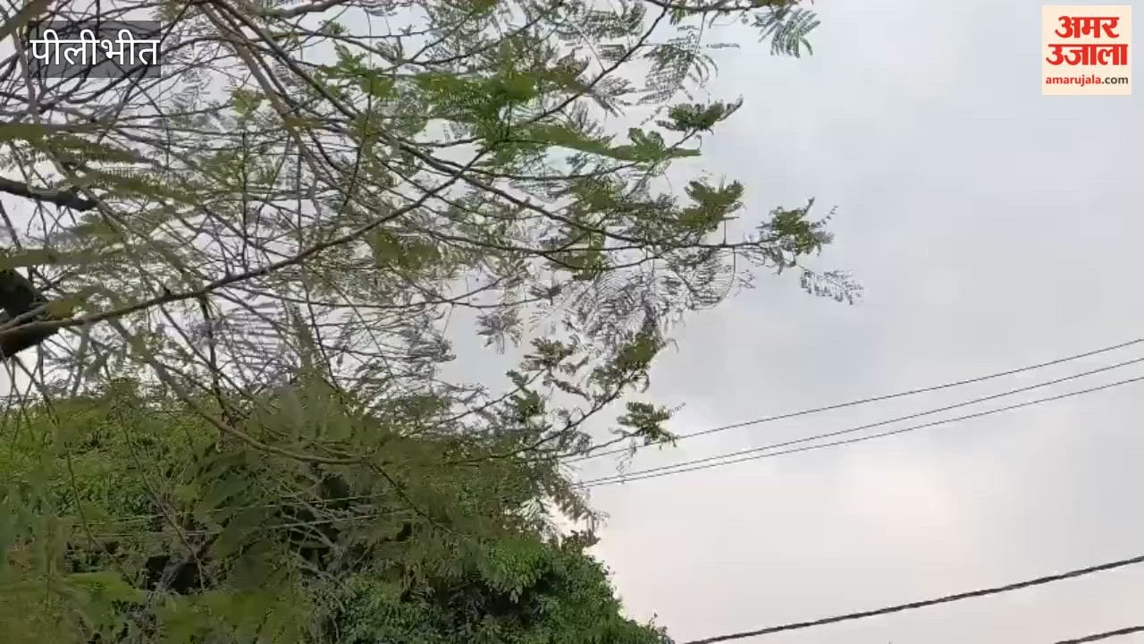 Drizzle accompanied by strong winds in Pilibhit