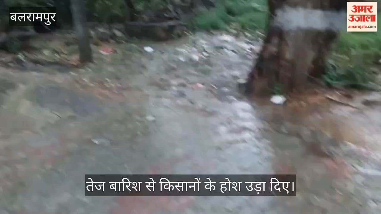 VIDEO: मौसम में बदलाव : आंधी - बारिश के साथ कड़की बिजली, सुबह ही हुई रात