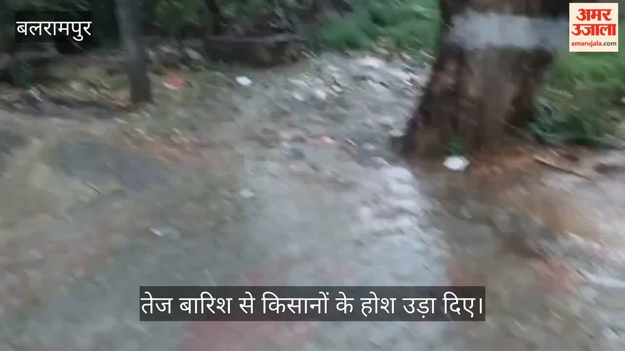 VIDEO: मौसम में बदलाव : आंधी - बारिश के साथ कड़की बिजली, सुबह ही हुई रात