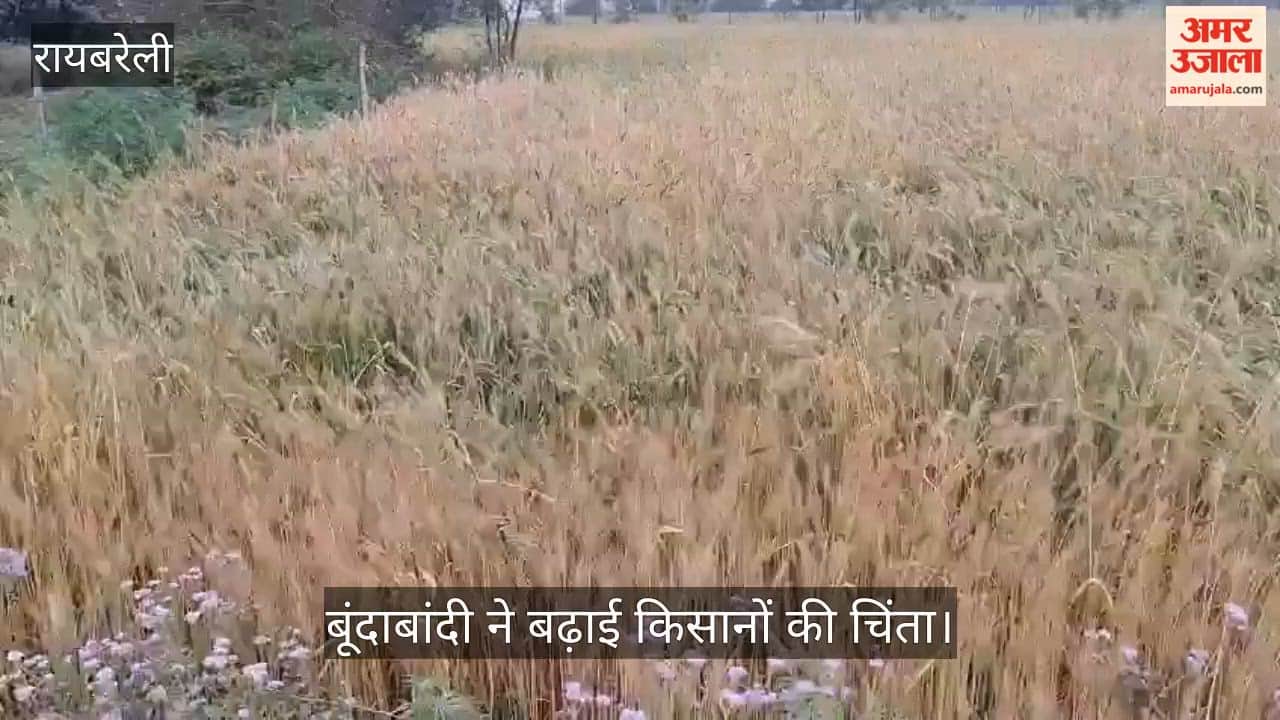 रायबरेली में काले बादलों और बूंदाबांदी ने बढ़ाई किसानों की चिंता