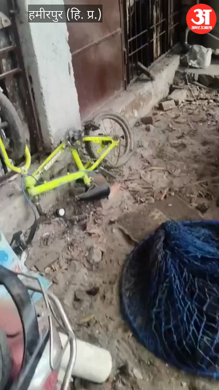 Hamirpur: चार दिन बाद पकड़ा 10 लोगों को काटने वाला लावारिस कुत्ता, लोगों ने ली राहत की सांस