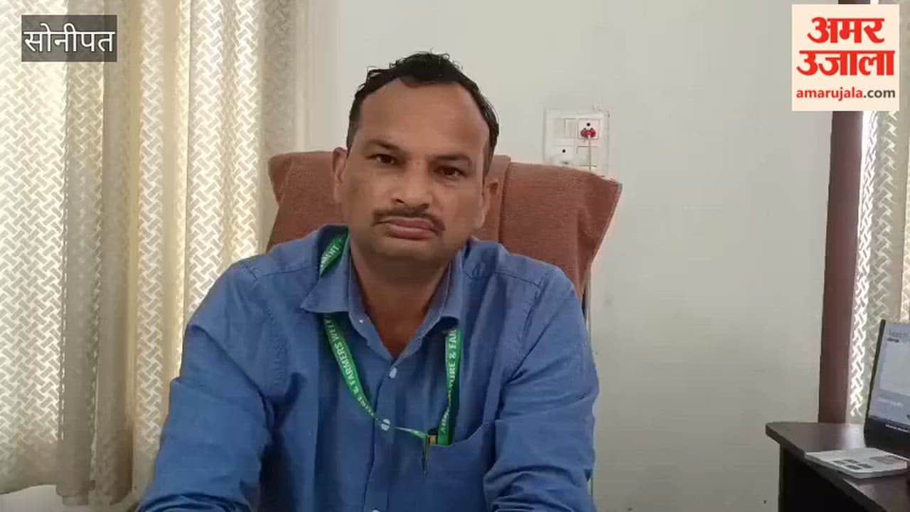 Western Disturbance Alert in Gohana, Sonipat: Light Rain Benefits Crops, but Excess Water and Strong Winds Pose a Risk of Damage.