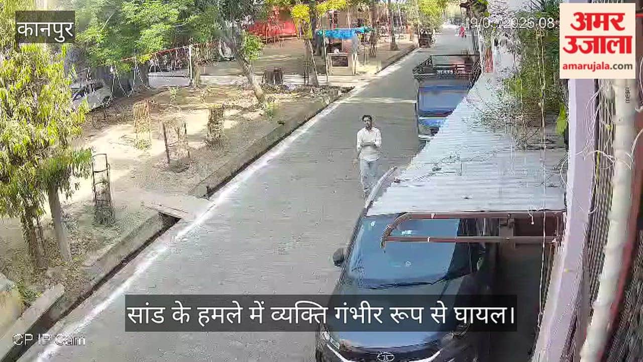 कानपुर: बिल्हौर में 'सांड' का आतंक, राहगीर को सींगों पर उठाकर पटका, बाल-बाल बची जान