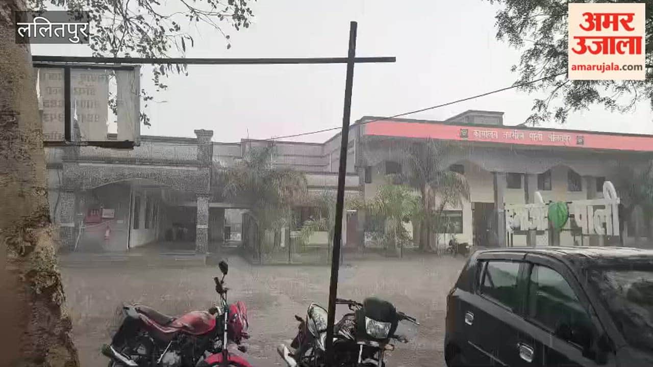 Heavy rain accompanied by thunderstorms worries farmers, damages wheat crop