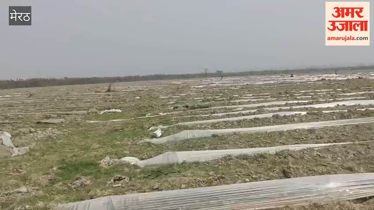 Hastinapur: Allegations of Re-Encroachment on Freed Government Land, Action Demanded
