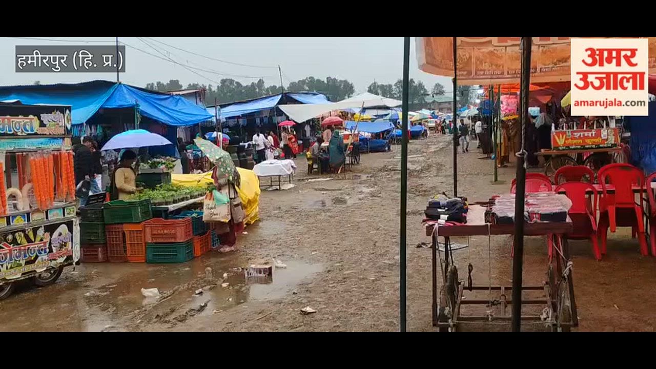 Hamirpur Plots Purchased at Exorbitant Prices Losses Begin Before Earnings