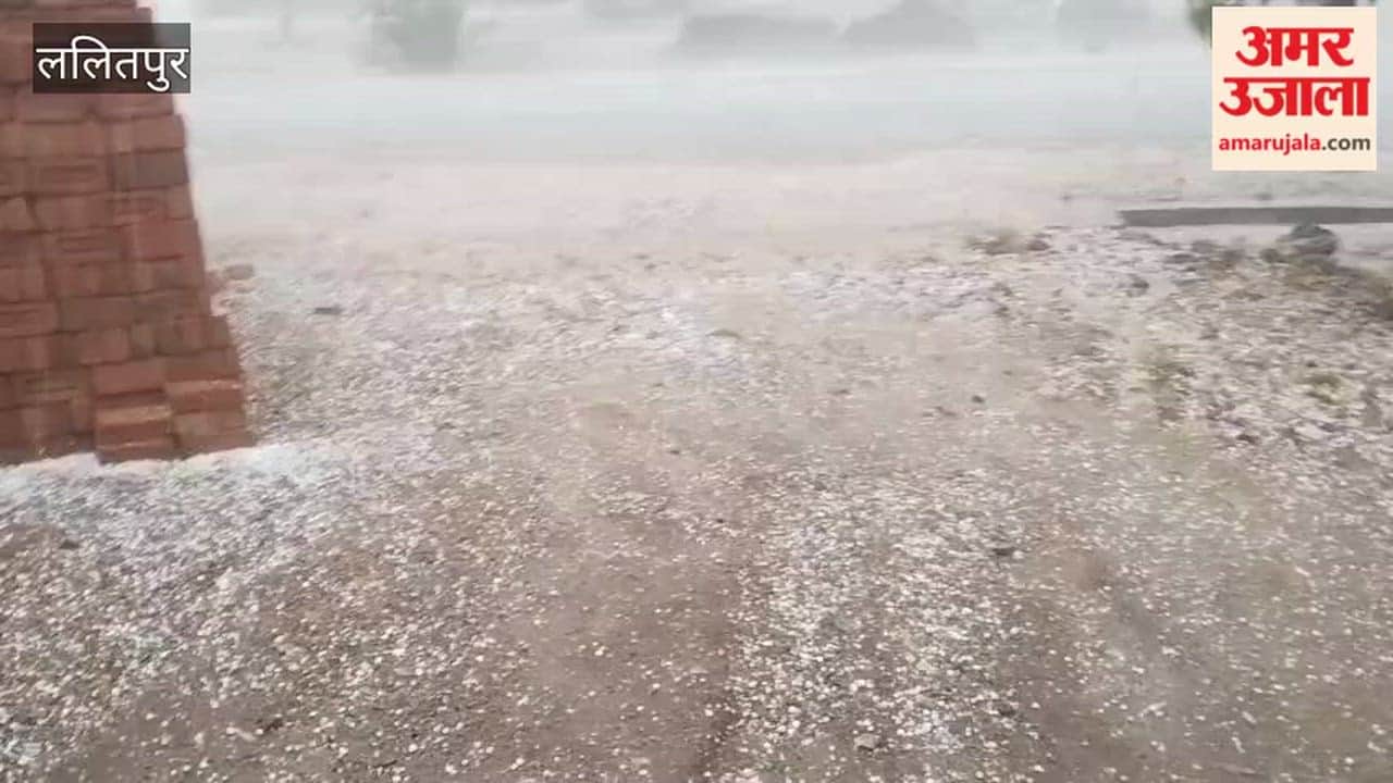 Rain and hailstorm in Lalitpur, increasing farmers' problems