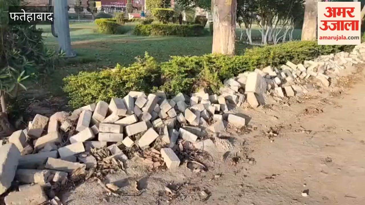 Public Outrage Over Dilapidated State of Herbal Park in Tohana, Fatehabad; Demand for Government Action