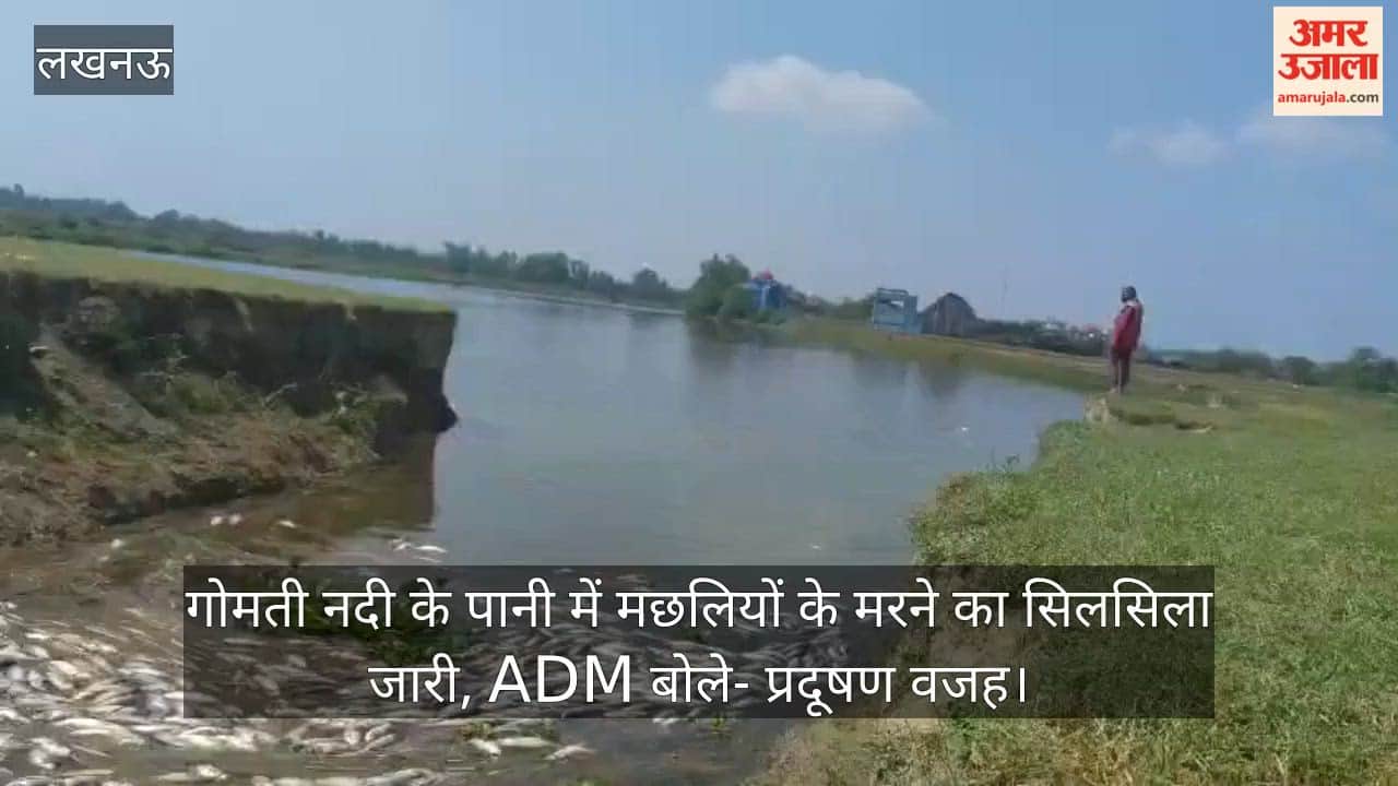 लखनऊ: गोमती नदी के पानी में मछलियों के मरने का सिलसिला जारी, ADM बोले- प्रदूषण वजह