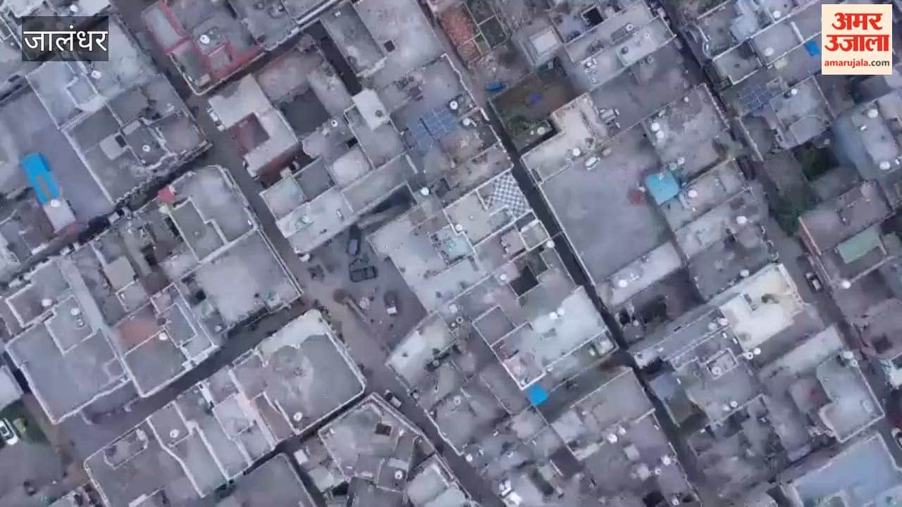 NRI Builds Statue of Liberty on His Home's Rooftop