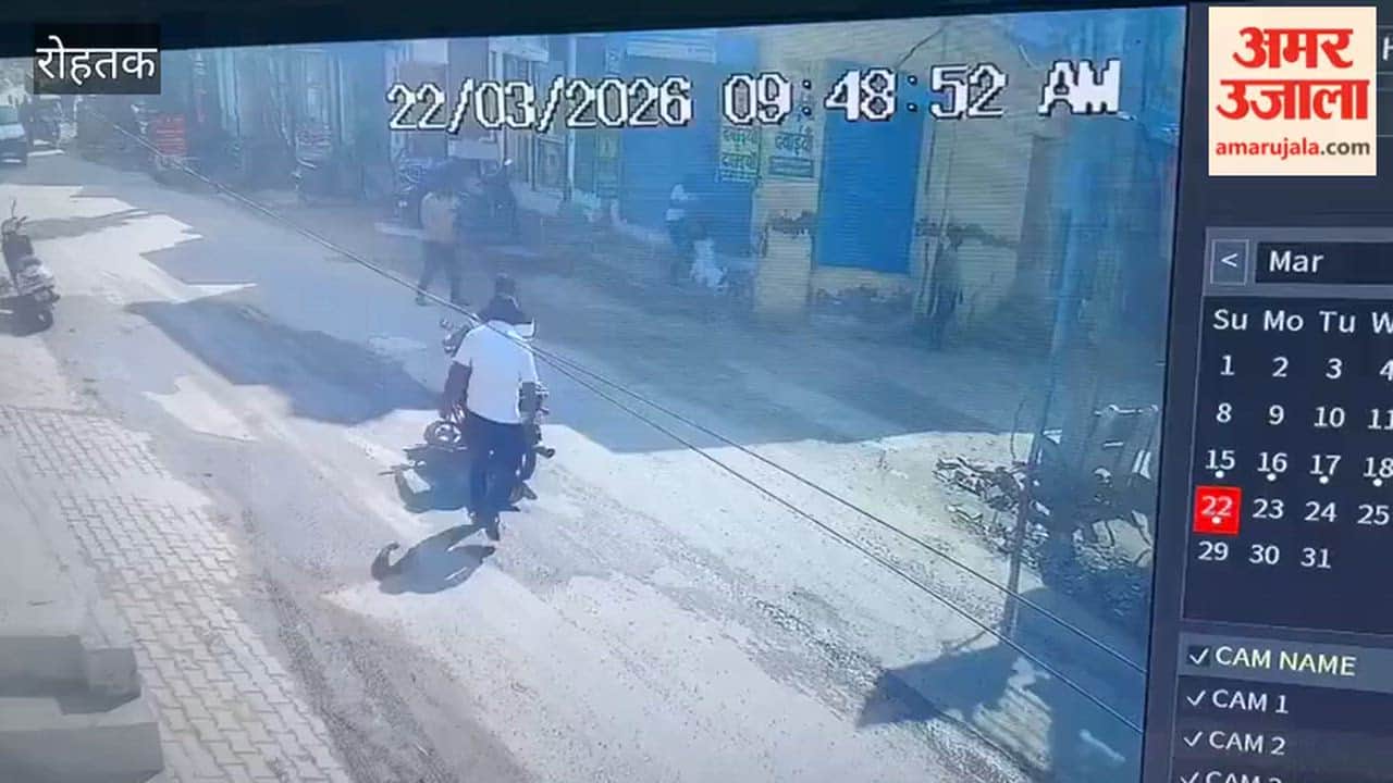 Pitbull Attacks Bank Manager's Son in Rohtak