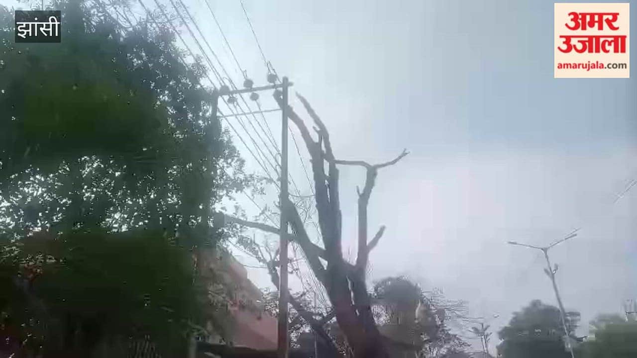 A dry tree stuck on an electric pole near Jeevanshah in Jhansi for two days is inviting an accident.