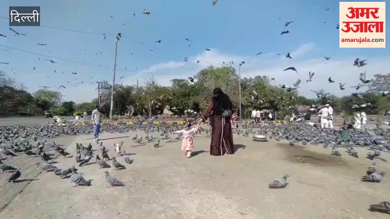 Children were seen playing with birds away from mobile phones at Delhi Rajghat