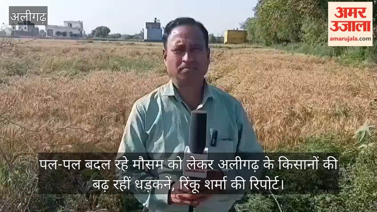 पल-पल बदल रहे मौसम को लेकर अलीगढ़ के किसानों की बढ़ रहीं धड़कनें, रिंकू शर्मा की रिपोर्ट