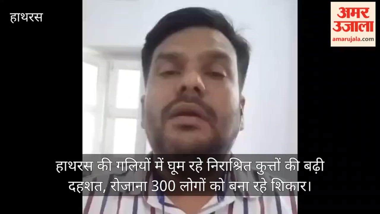 हाथरस की गलियों में घूम रहे निराश्रित कुत्तों की बढ़ी दहशत, रोजाना 300 लोगों को बना रहे शिकार