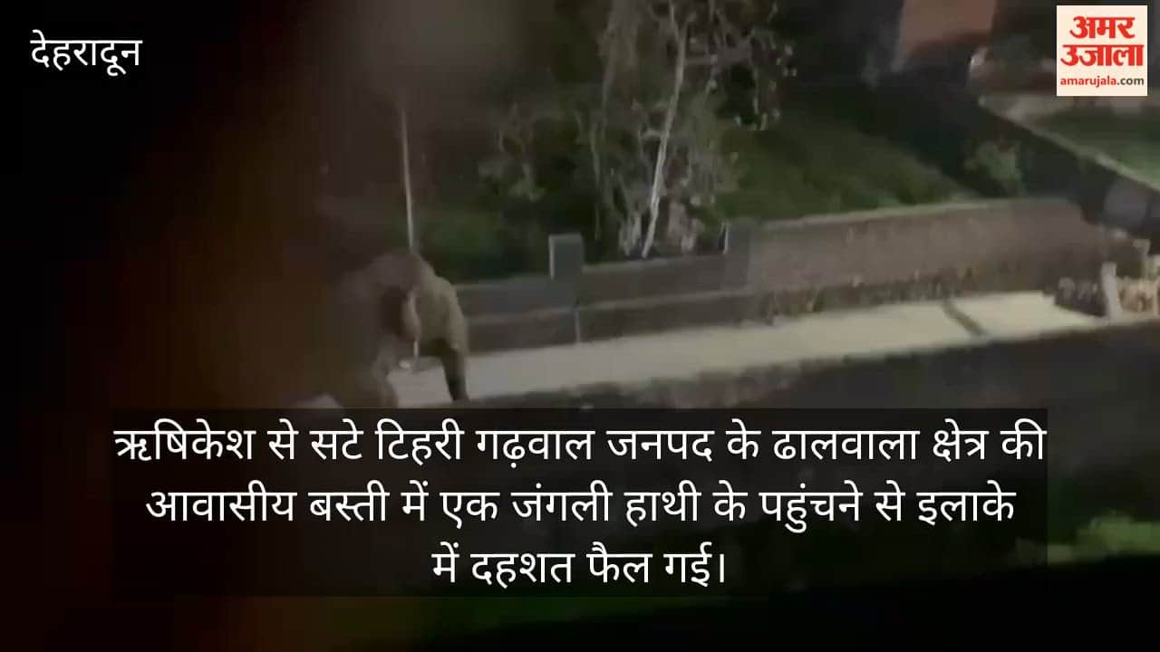 Wild Elephant Suddenly Enters Residential Colony in Rishikesh Dhalwala Area Panic Grips the Locality
