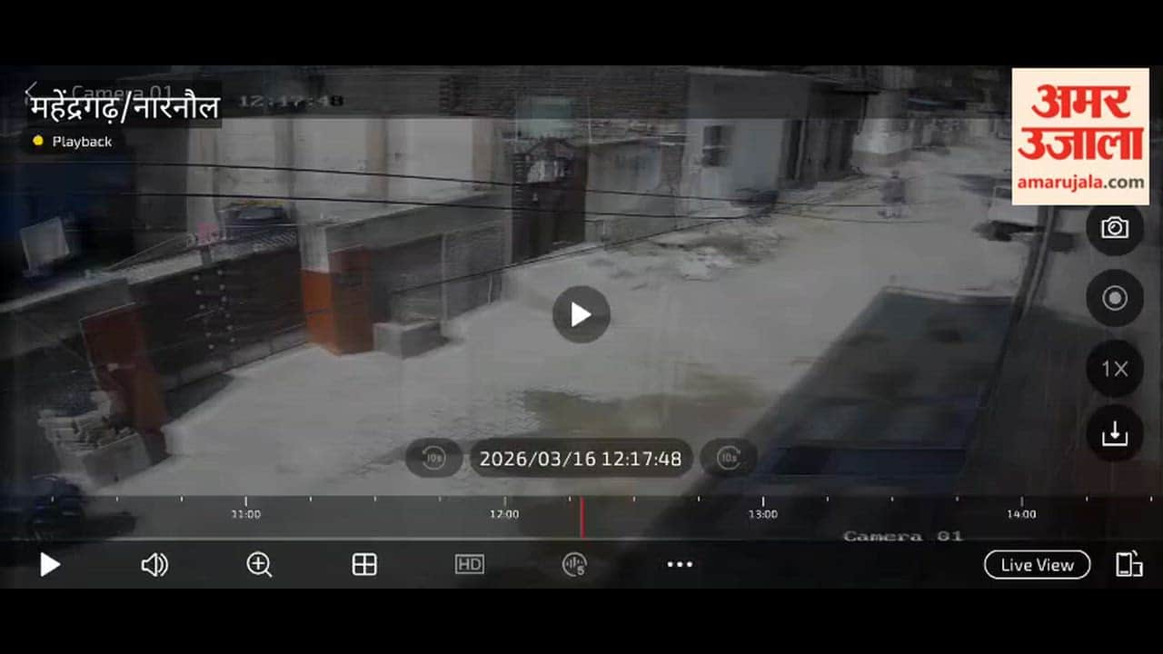 Woman Flees Home with Jewelry in Narnaul; Husband Files Police Complaint