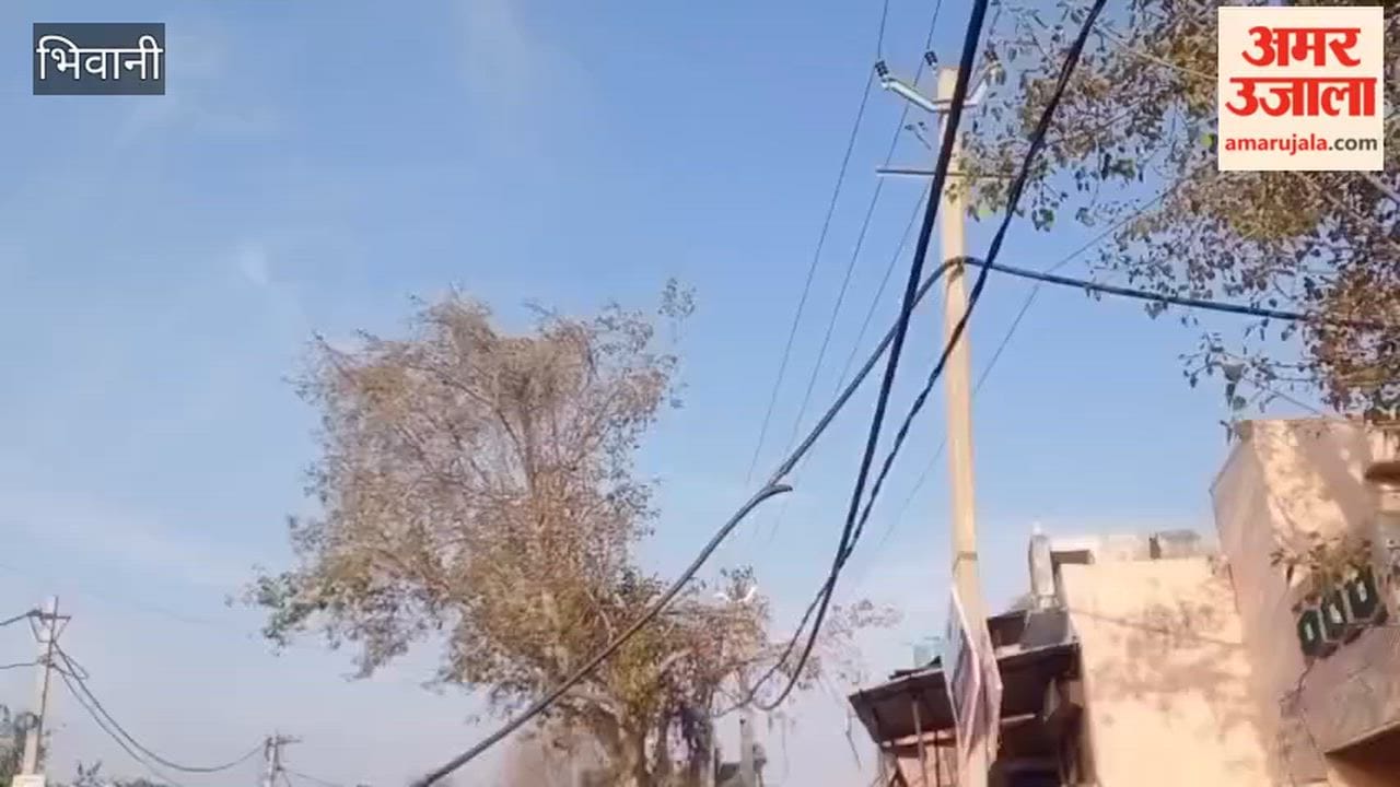 11 kV Power Line Snags on Truck at Jui Bus Stand in Bhiwani; Traffic Disrupted for Hours