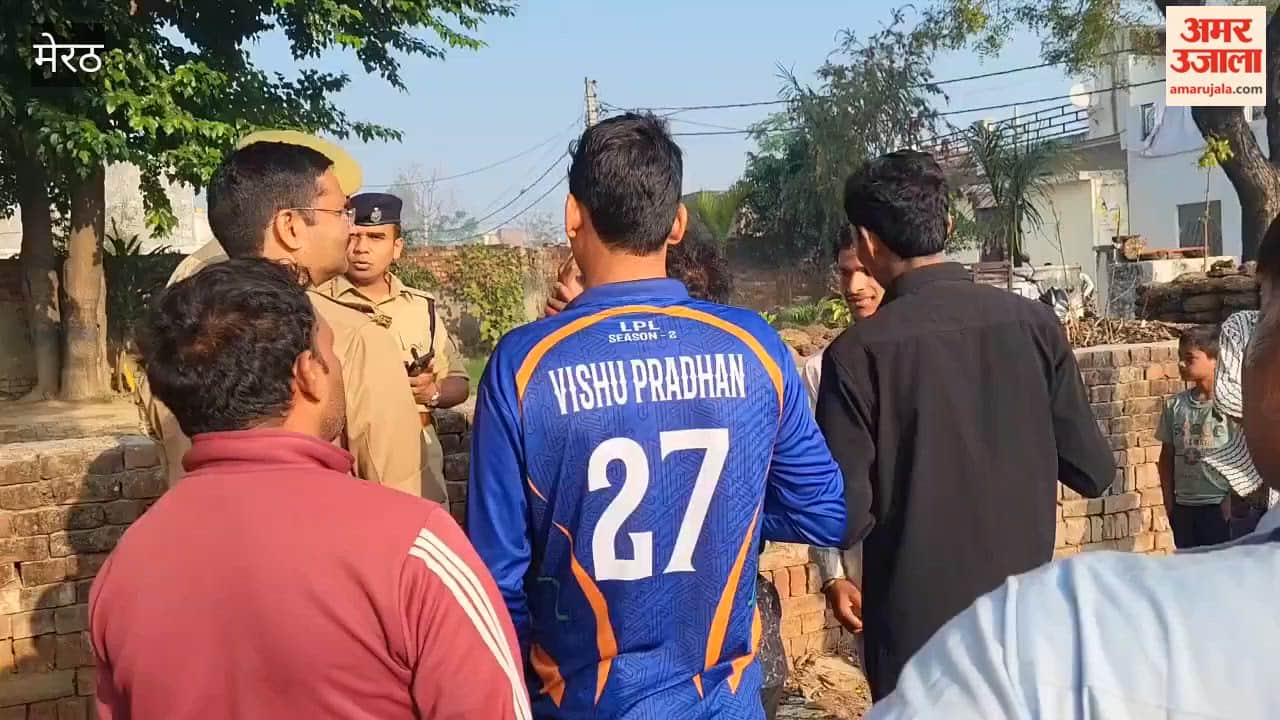 Meerut: Ambedkar Statue Vandalised, Tension Grips Village, Protest Erupts