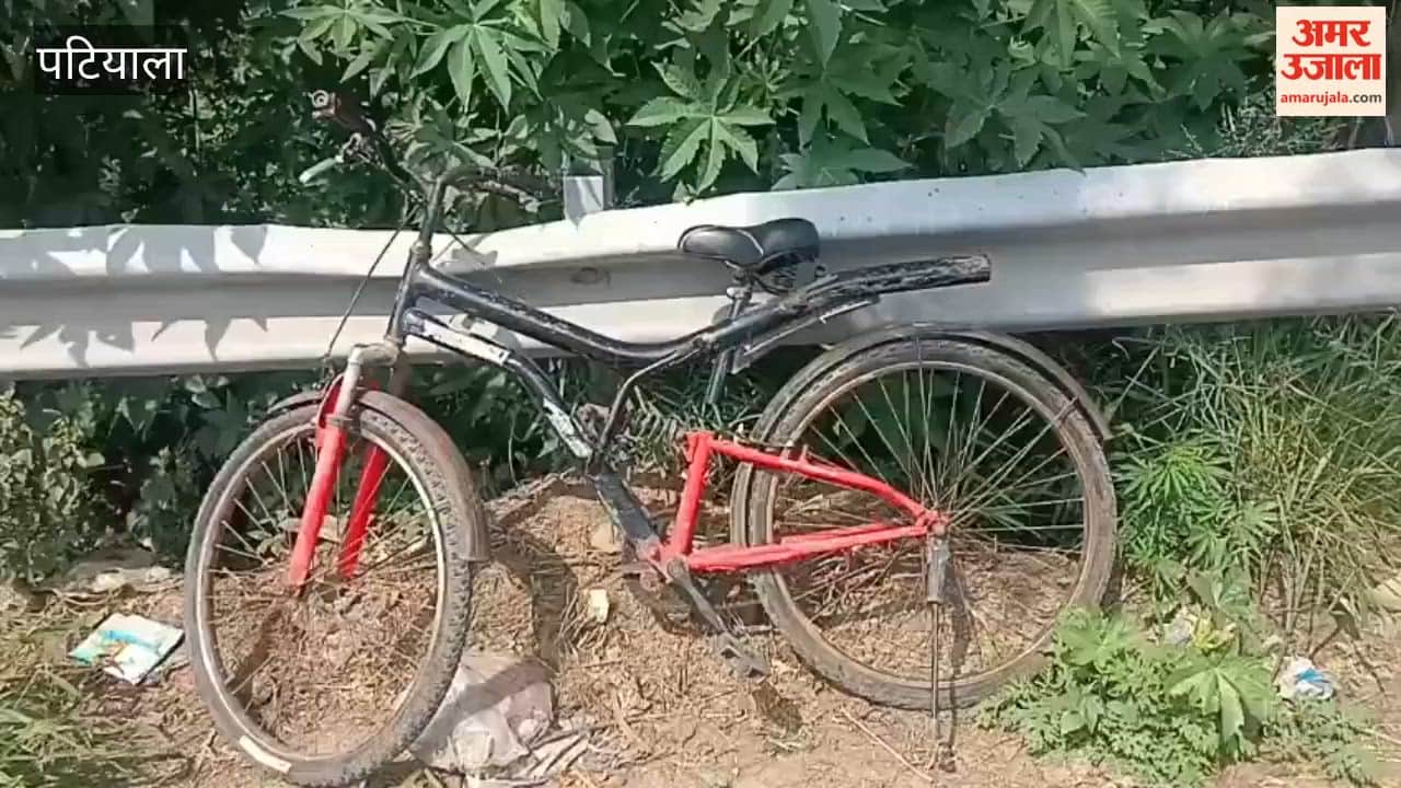 Girl  Found Hanging from Tree in Patiala