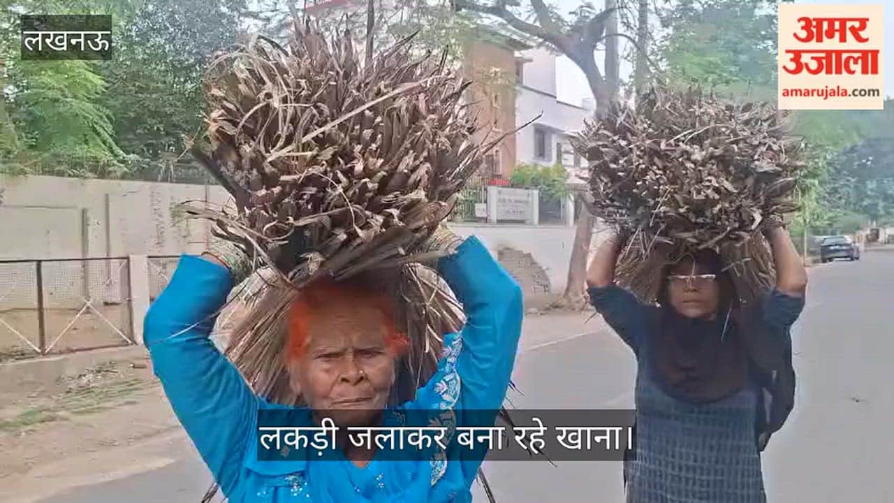 VIDEO: सिलिंडर की किल्लत: लकड़ी बिन कर खाना पका रहे लोग, लोग बोले- सिलिंडर के लिए 2000 रुपये कहां से लाएं