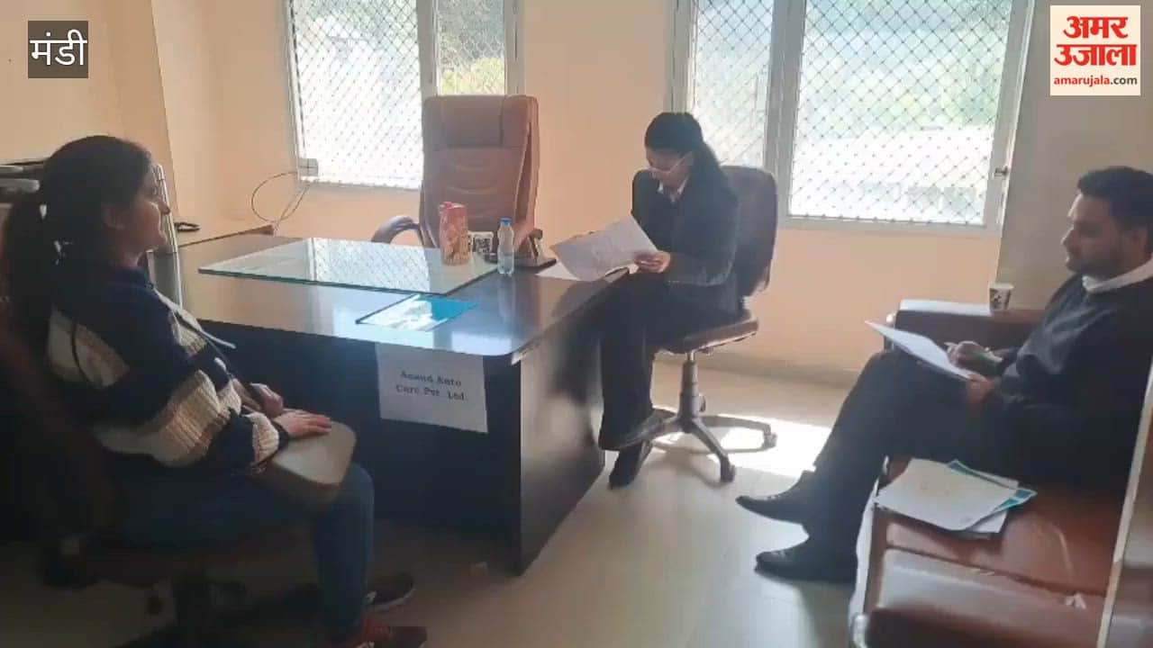 Mandi A mini-employment fair was organized in Mandi, where hundreds of unemployed youths arrived in search of jobs