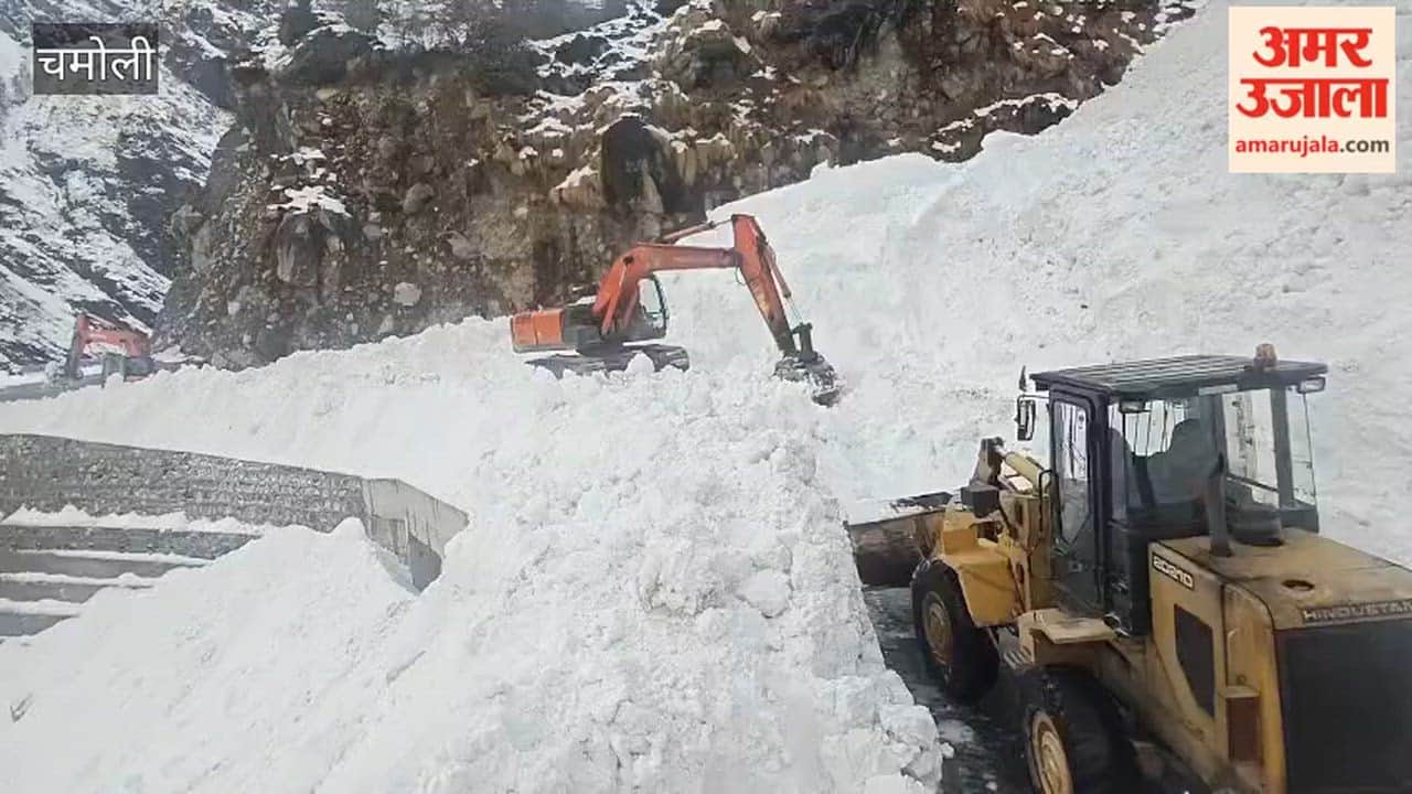 Badrinath Highway Opened for Vehicular Movement After Clearing Snow Blocks