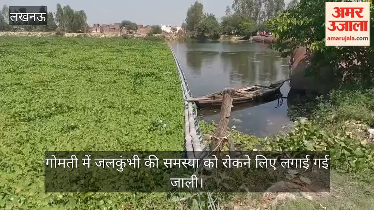 VIDEO: गोमती नदी में जलकुंभी की समस्या को रोकने लिए लगाई गई जाली, इस तरह किए गए इंतजाम