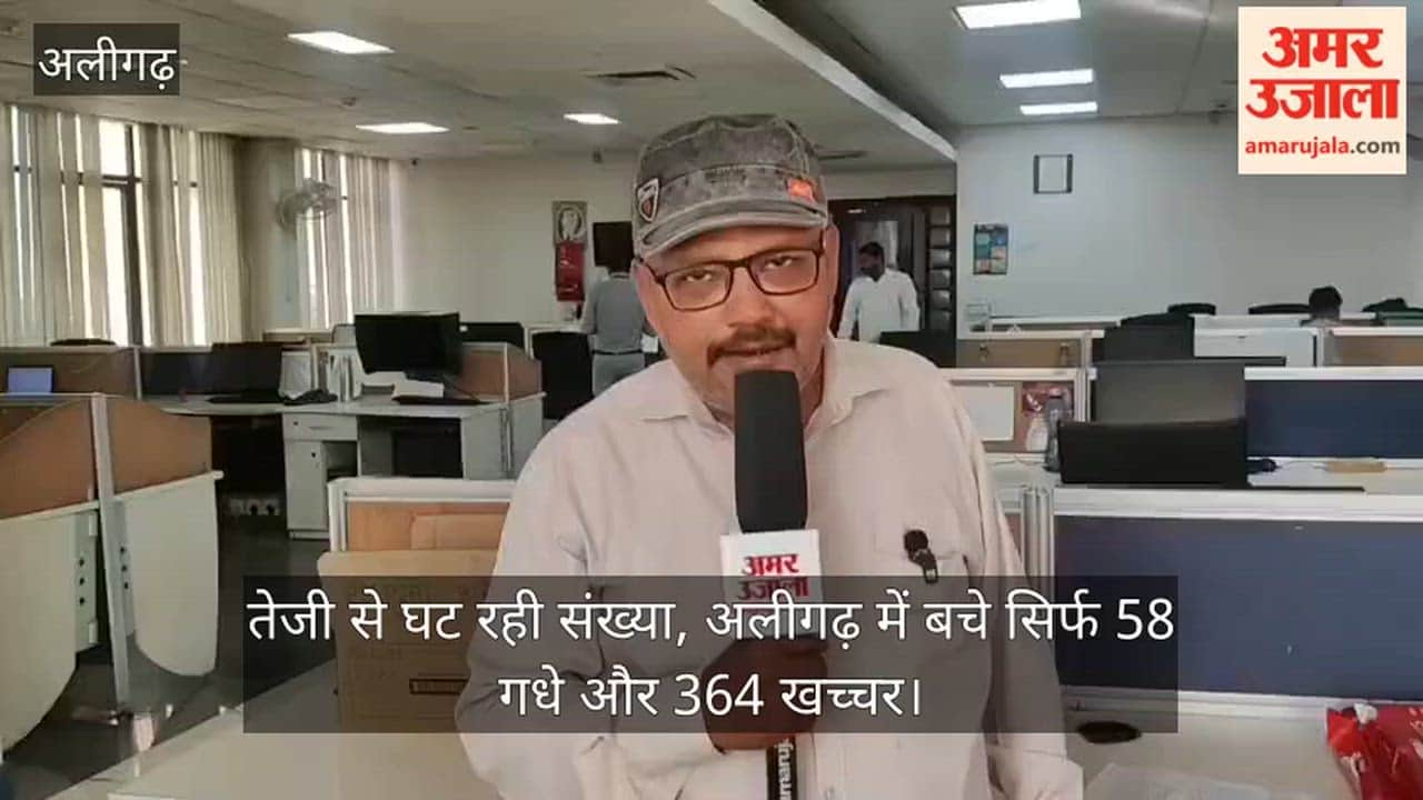 तेजी से घट रही संख्या, अलीगढ़ में बचे सिर्फ 58 गधे और 364 खच्चर