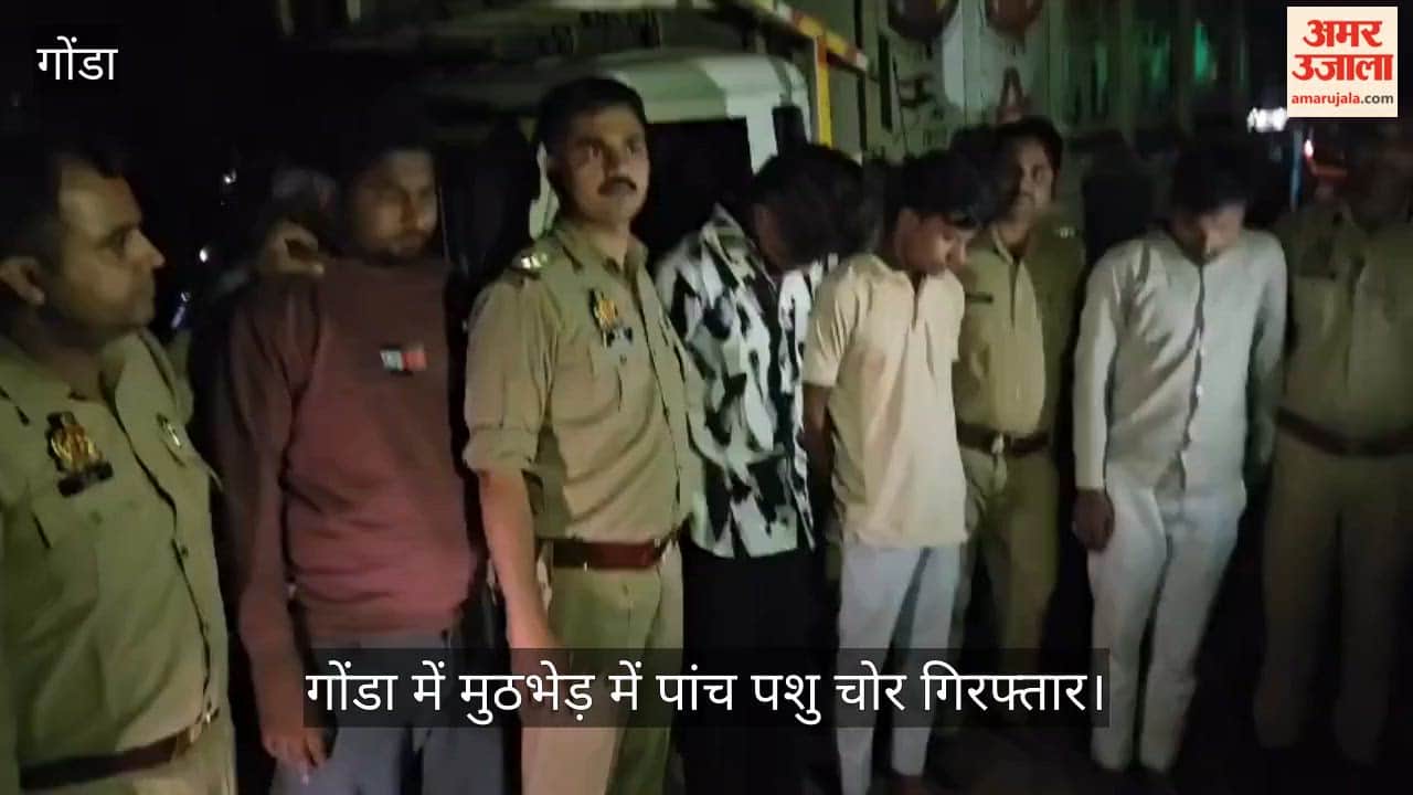 VIDEO: गोंडा में पुलिस मुठभेड़: पांच पशु चोर गिरफ्तार, एक घायल, भैंस-पड़वा व तमंचा बरामद