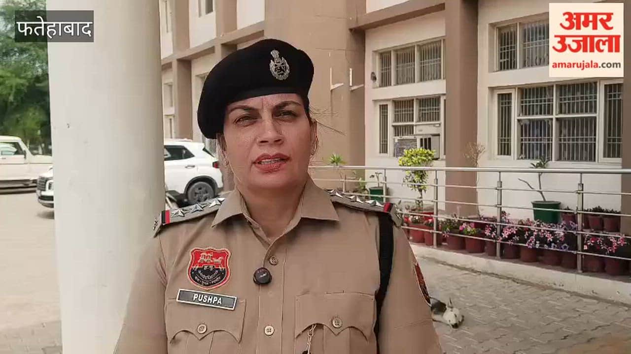 Woman murdered by live-in partner