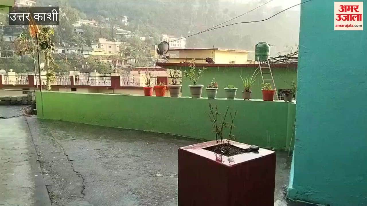 VIDEO: Weather Changes in Yamuna Valley—Heavy Rain Follows Bright Morning Sunshine