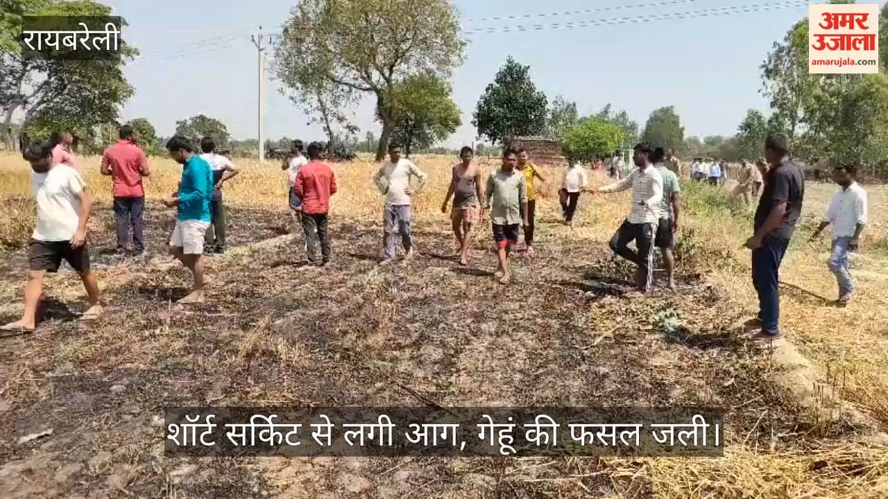 रायबरेली में शॉर्ट सर्किट से लगी आग, गेहूं की फसल जली