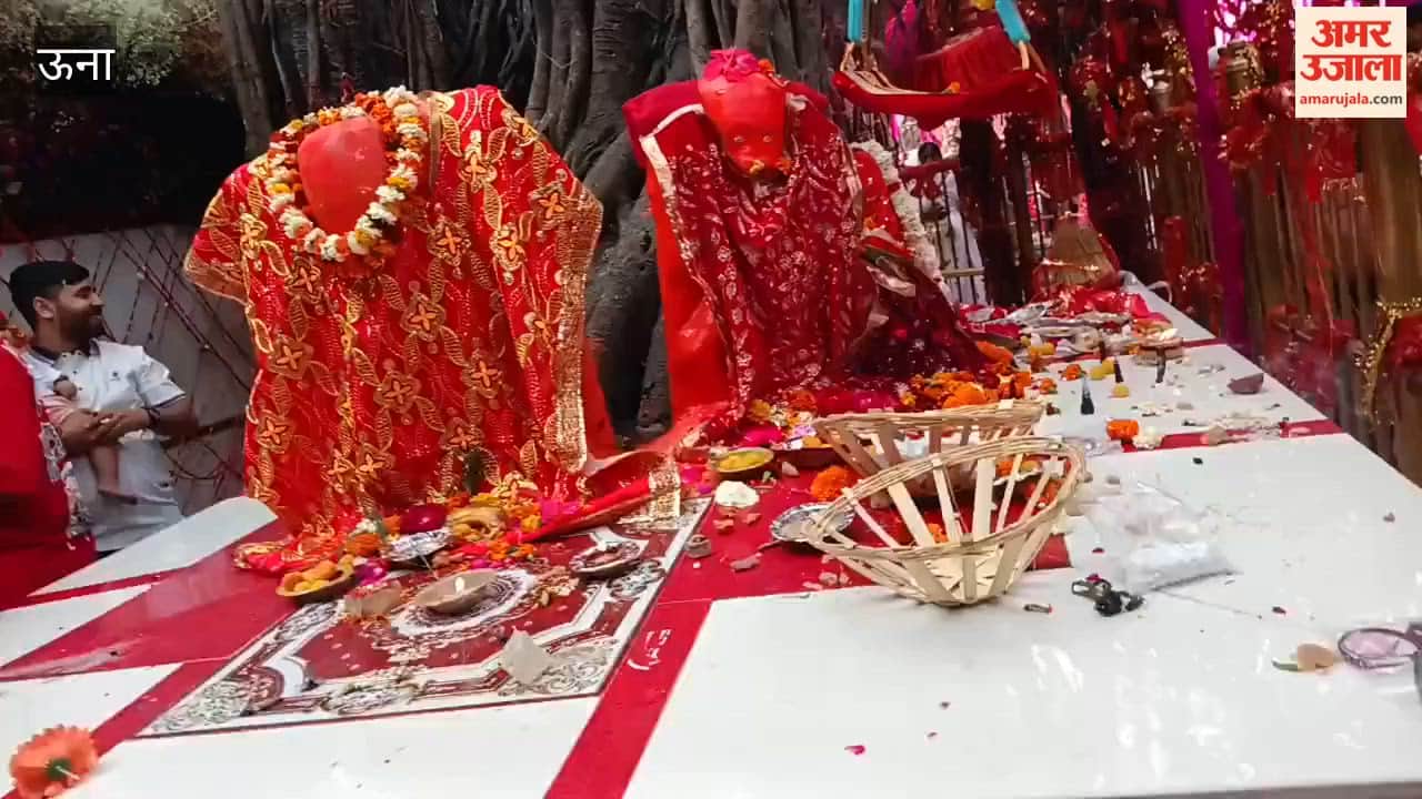 Una Grand Celebrations Mark Durga Ashtami at Maa Chintpurni's Shrine; Coconuts Offered as Sacrifices and 'Chhappan Bhog' Presented in the Sanctum Sanctorum