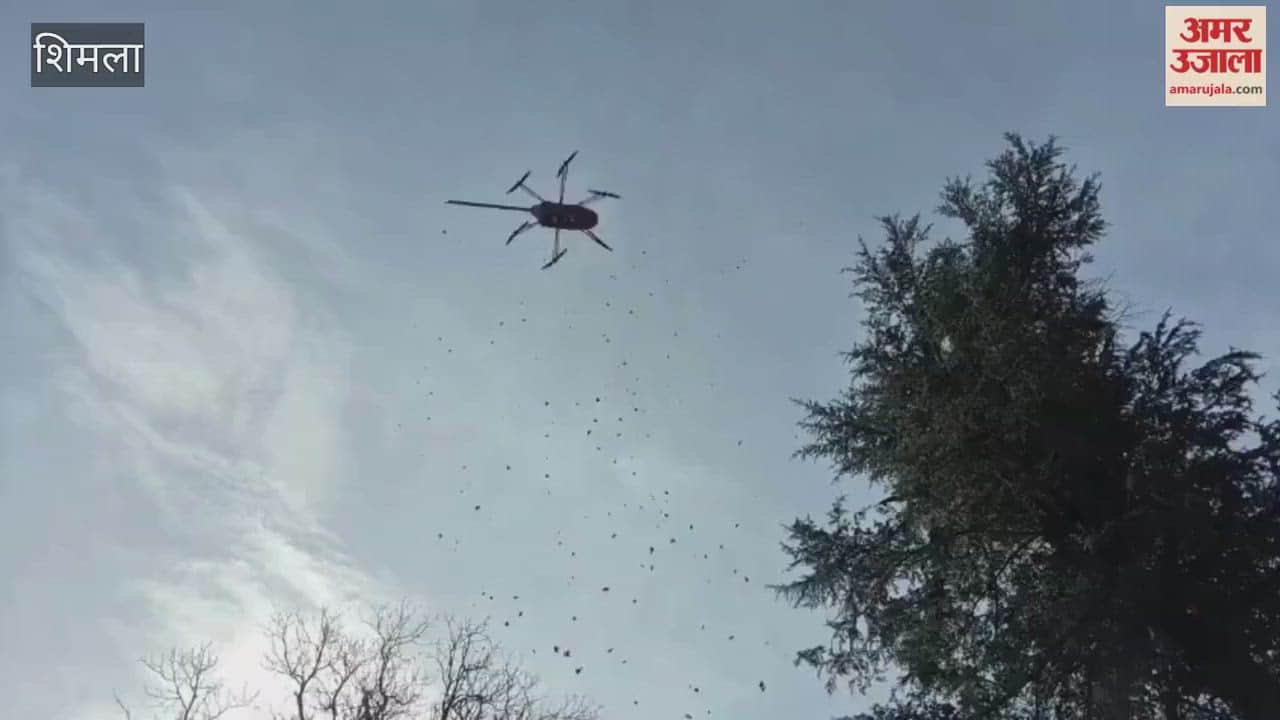 CM Sukhu's Birthday Chief Minister Sukhu Cuts 62-Kilogram Cake Flowers Showered via Drone