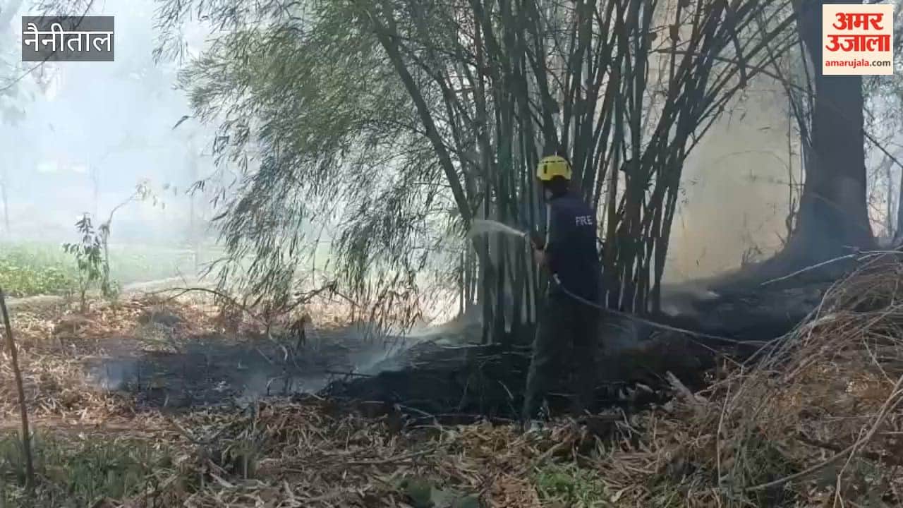 massive fire broke out in the forest area of Haldwani