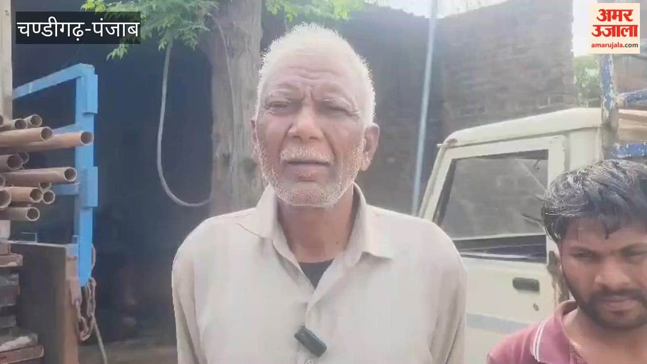 Three buffaloes stolen in Pathankot