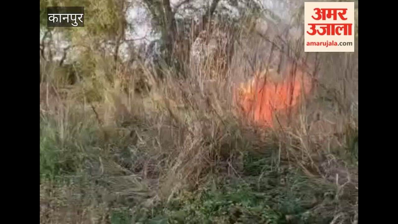 Kanpur: Wildfire Sparks Panic; Hundreds of Bighas of Crops Saved Through Quick Thinking