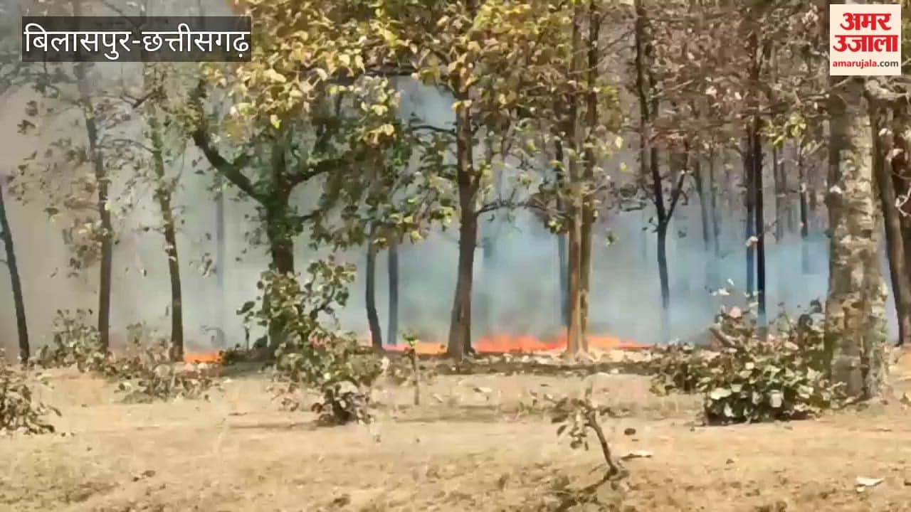 Massive Fire in the Teak Forest of Sipat, Bilaspur