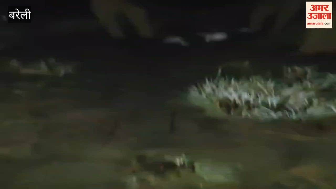 Police Arrest Cattle Smuggler in Bareilly